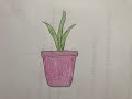 Cách vẽ chậu cây đơn giản | Hướng dẫn vẽ chậu cây bằng bút chì | How to draw a simple potted plant