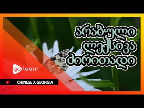 ჩინური ლექსიკა ძირითადი | Golearn