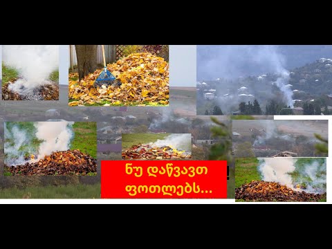 სოფლებში და ქალაქშიც მავნე ჩვევა, რომელიც ნიადაგსაც აზიანებს და ადამიანთა ჯანმრთელობასაც..