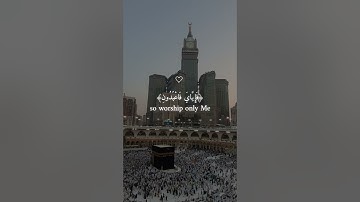 عبد الرحمن مسعد (كل نفس ذآئقة الموت)سورة العنكبوت راحة نفسية والطمأنينة #المصحف #راحة_نفسية #لايك