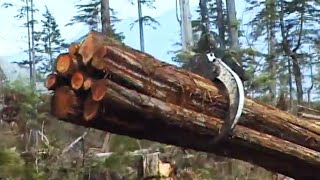Erickson Timber Harvesting | Value By the Bundle