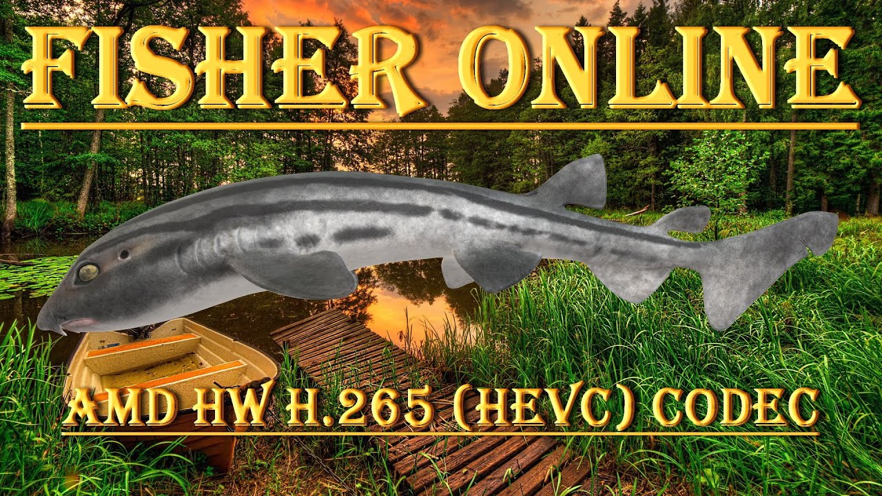 🔊 On Air – Fisher Online – AMD HW H.265 (HEVC) Codec – QHD 2k (1440p60) 🔊