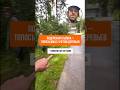 ТОПОСЪЕМКА С ДЕРЕВЬЯМИ #строительство #стройка #геодезия #кадастр #недвижимость