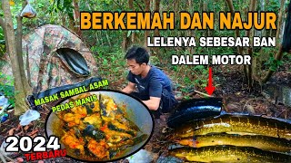 SUMPAH INI ENAK BANGET ‼ Sambal asam pedas manis lele hutan asli.. hasil tajuran berkemah di hutan