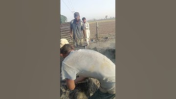 Concrete Slab Pouring – Real Work Footage#RealWork #ConcreteSlab #EngineeringBuild #Shorts
