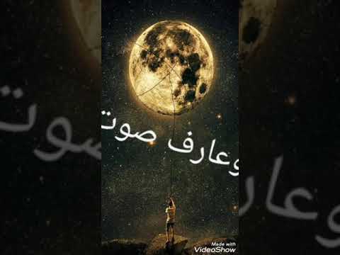 انا بحبك موت تامر حسني حالات واتس اب