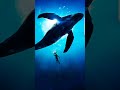 Creepy sound from whale in night #Whale #Short #Creepy #Night🐋