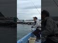 【危機一髪】根に張り付かれたのを引っ張り出してみたら #Shorts