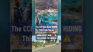 Celebrity China Is Hiding More Than A Massive Pollution Issue ⚠️🇨🇳 Net Worth