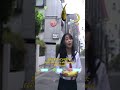 ムーンビーム / Natsudaidai