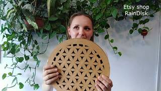 Rain Disk