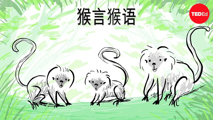 猴言猴語：絨頂檉柳猴的語言 - Anne Savage - 天天要聞