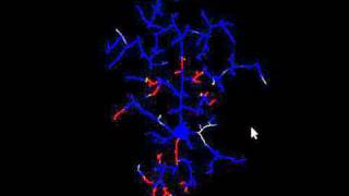 prtotype of a neuron