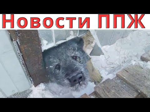 Дезинфекция...  Новости от Жени!