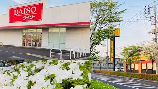 Daiso in Japan | 100¥ Shop | ජපානයේ සීයෙ කඩේ #japan #studentslife #daiso