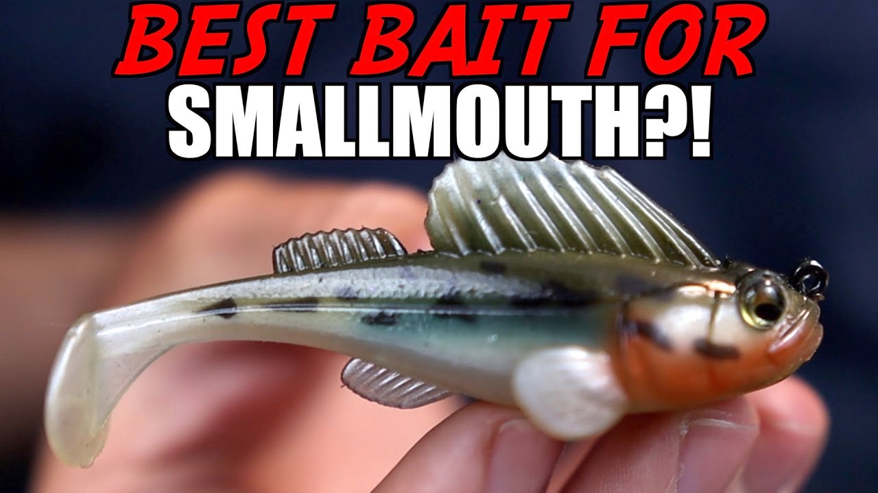 This is My FAVORITE Bait for Smallmouth Bass! (Megabass Dark