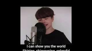 || a whole new world ||   video lirik    cover by philias martinek