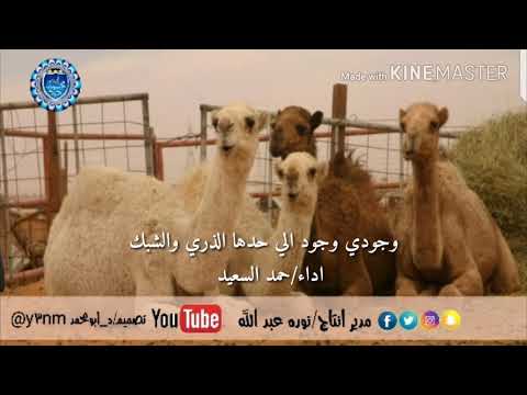 وجودي وجود الي حداها الذري والشبك قناة ابومحمد