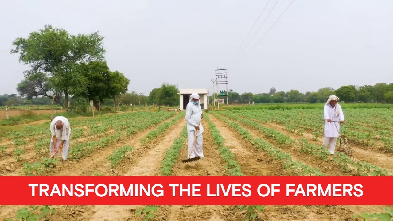 Relief for farmers of Uttar Pradesh | OMG Uttar Pradesh - YouTube