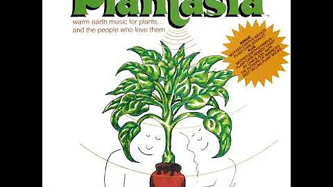 (Mother Earth's) Plantasia -- Mort Garson (1976) F...
