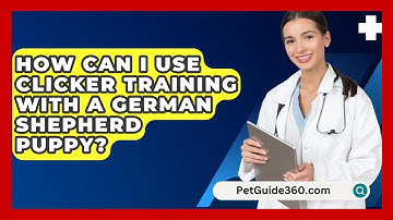 How Can I Use Clicker Training With A German Shepherd Puppy? - PetGuide360.com