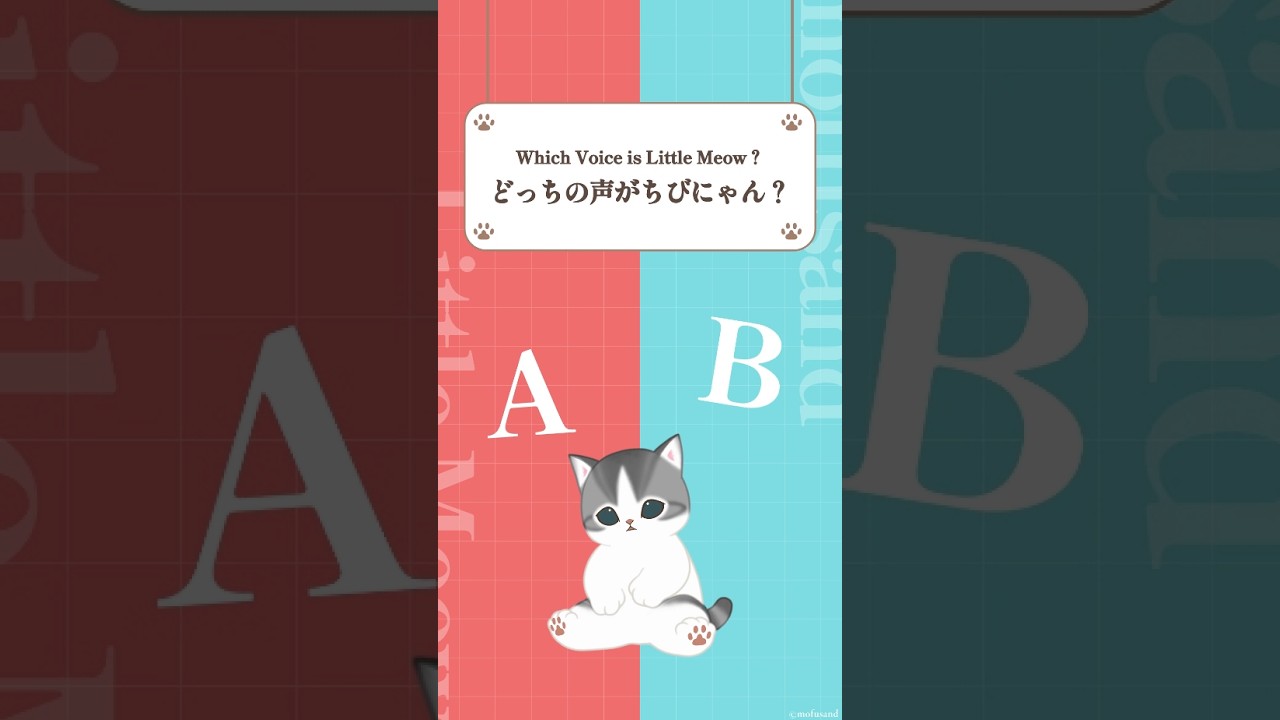 Q. #ちびにゃん の声はどっち？ - YouTube