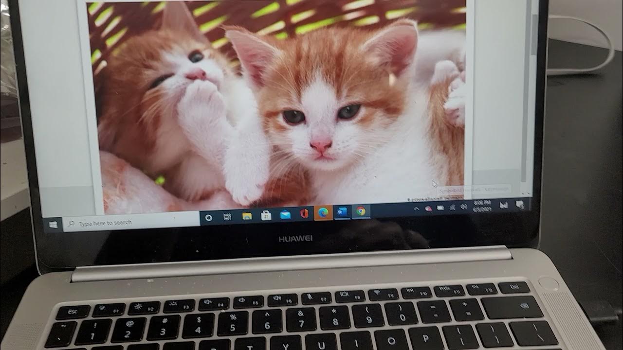 Epson ET3750 Mismatch paper error YouTube