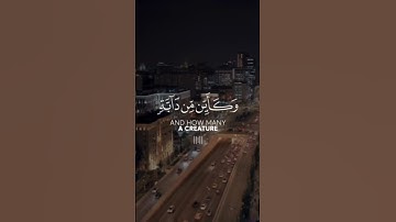 الذين صبروا وعلى ربهم يتوكلون عبد الرحمن مسعد سورة العنكبوت ايات من القران الكريم تلاوات