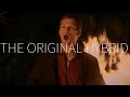 The originals klaus mikaelson  the original hybrid