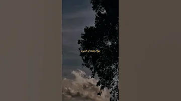 طائر الرفراف أغنية فريد وسيران أنا في العاصفة 