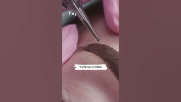 Ombre Eyebrows *Start to Finish* w- GgBrows #shorts