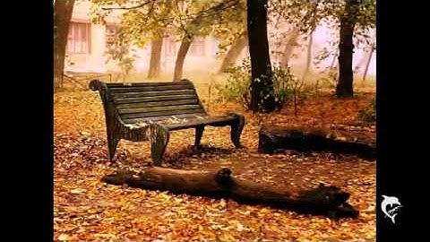 o melhor do aquasoft slideshow for youtube