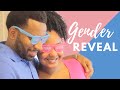 Baby Gender Reveal Surprise | Vlog