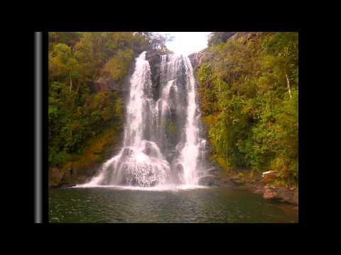 Serra do Papagaio State Park httpsiytimgcomvil0y0szhf08hqdefaultjpg