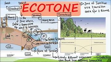 ECOTONE,EDGE EFFECT, ECOCLINE - EXPLAINED in HINDI