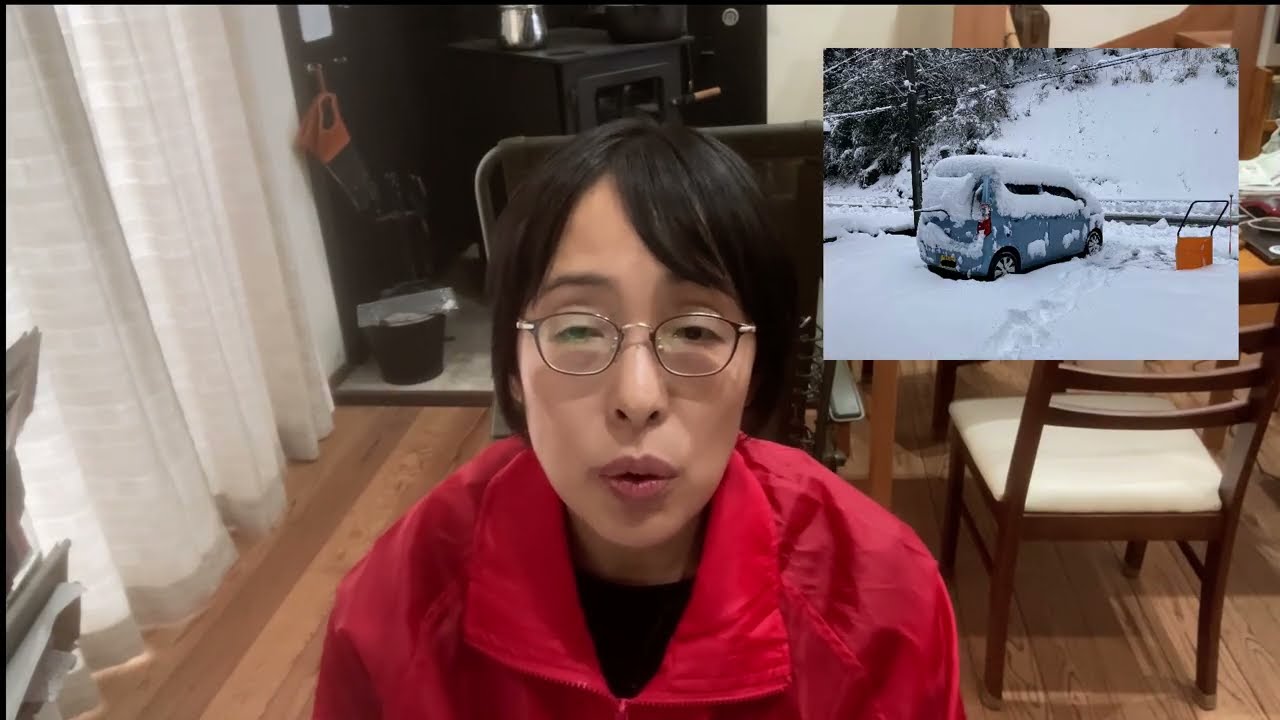 雪国事情と再エネ・原発問題［日本自由党🌸林あきこ］令和8年1月　福井県議会議員補欠選挙