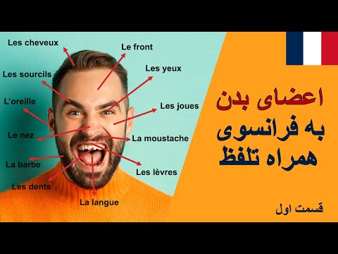 آموزش فرانسه از پایه اعضای بدن به فرانسوی قسمت اول درس بیست و دوم