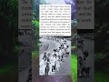 Hands Across America 1986 Human Chain Stretched 6,600 Miles to Fight Hunger and Homelessness
