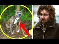 Бездомный парень нашёл в лесу привязанного к дереву пса и освободил его. И вот что было дальше...