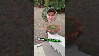 ЛЖЕУЧЕНИЕ РАЗОБЛОЧЕНИ