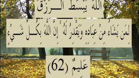 القران الكريم سورة العنكبوت الأية 62.wmv