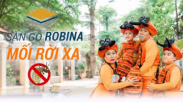 Khả năng kháng mối tuyệt vời của sàn gỗ Robina -  sàn gỗ nhập khẩu