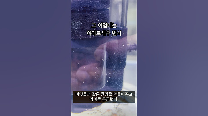 쓸대없이 야마토새우 번식 성공