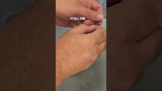 Assist-Feeding the TINIEST African House Snake! #housesnake