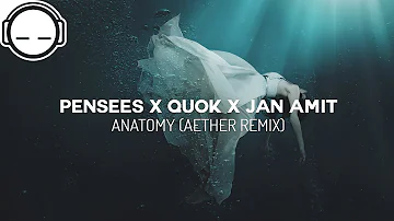 Pensees x Quok x Jan Amit - Anatomy (Aether Remix)