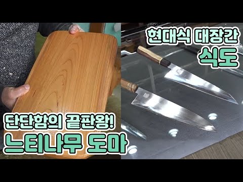 <strong>느티나무</strong> <strong>도마</strong> / YTN 사이언스