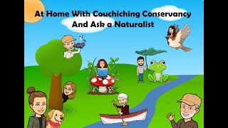 At Home With The Couchiching Conservancy Ask A Naturalist