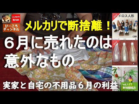vol.117断捨離編㉔【メルカリで断捨離！】6月に売れたのは意外