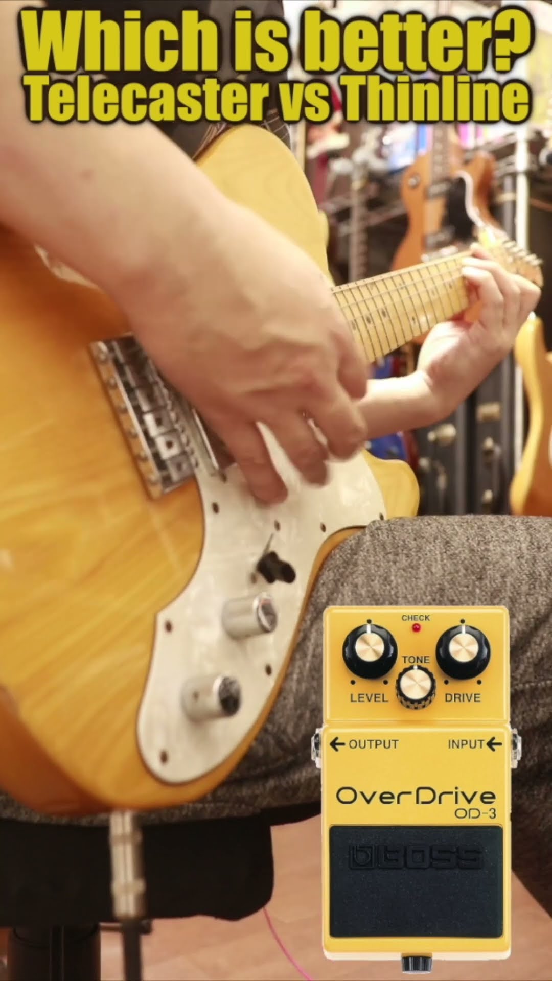 自作コンポ　Telecaster Thinline i built a Telecaster Thinline Body [Full Build Telecaster