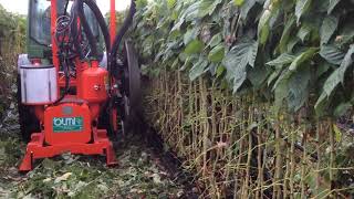 LEAF REMOVER SOFT FRUITS